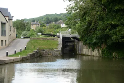 DSC_2715 (Large).JPG